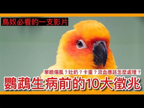 小鳥死了怎麼辦|【小鳥死掉怎麼處理】發現院子有小鳥屍體？小心處理防染病！